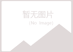 合山夏彤建设有限公司